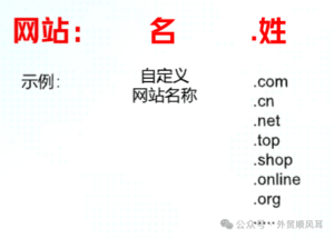 网站域名